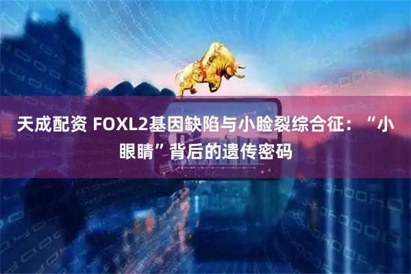 天成配资 FOXL2基因缺陷与小睑裂综合征：“小眼睛”背后的遗传密码