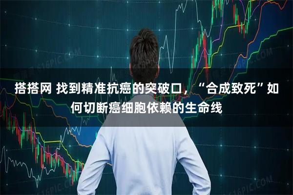 搭搭网 找到精准抗癌的突破口，“合成致死”如何切断癌细胞依赖的生命线