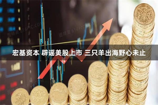 宏基资本 辟谣美股上市 三只羊出海野心未止